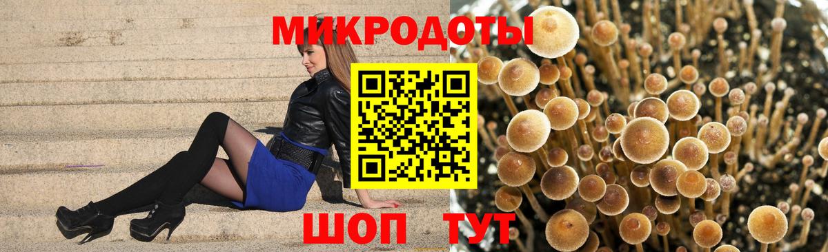 Галлюциногенные грибы ЛСД Калуга