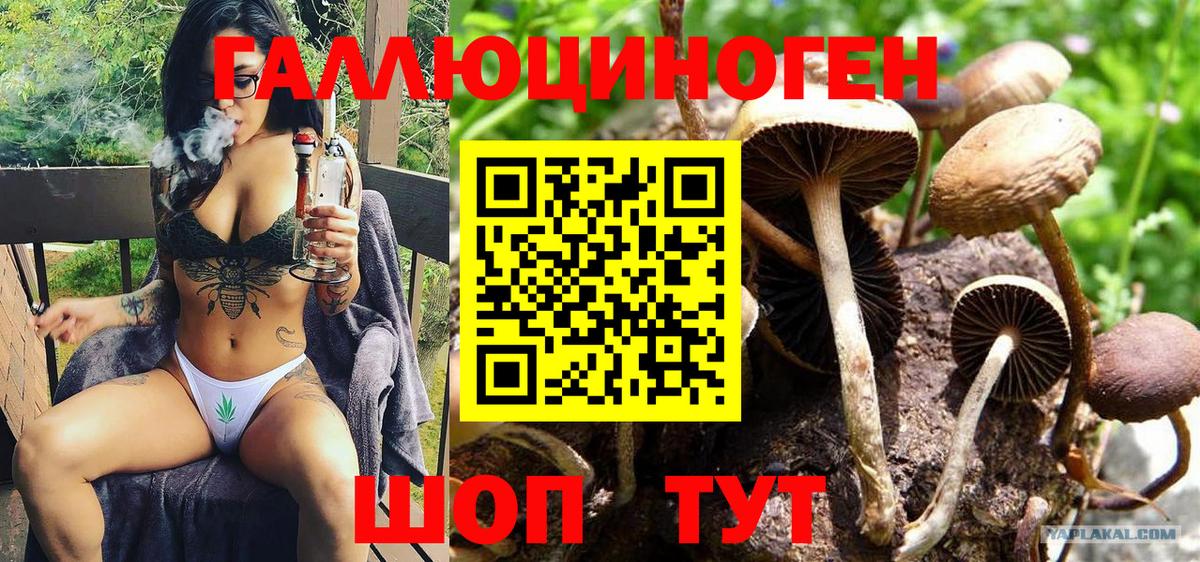Псилоцибиновые грибы ЛСД  что такое   Калуга  Вход с VPN 